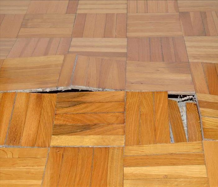 swelling wood floor