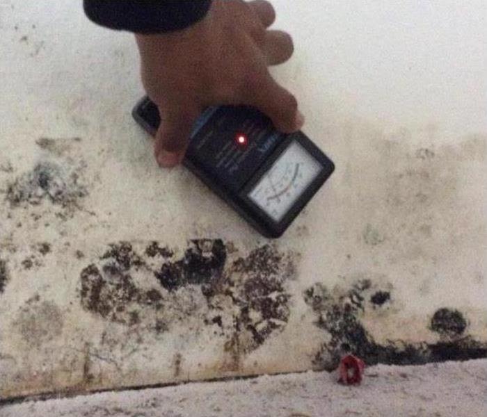 Moisture meter placed on a white wall with black mold growth